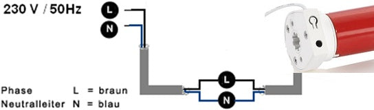 230V Roller Motor EYAS25LE