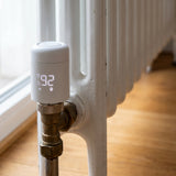 Radiator Thermostat 6-Piece Starter Set & Gateway