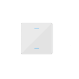 Glass cover 2 channel light switch Venus